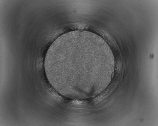 X0000099380326200806051127