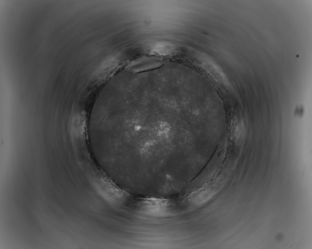 X0000099380328200806051127