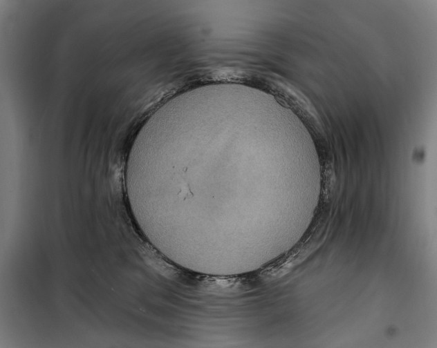 X0000099380329200806051127