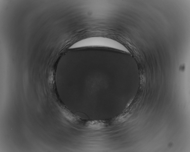 X0000099380331200806051127