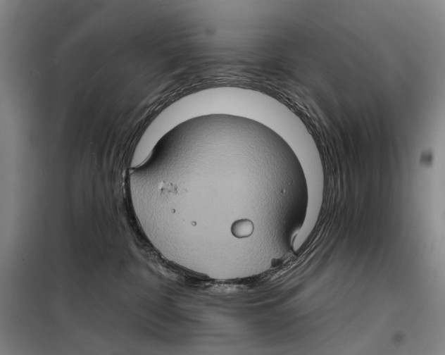 X0000099380332200806051127