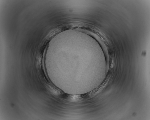 X0000099380333200806051127