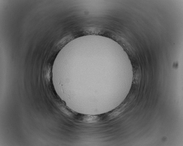 X0000099380334200806051127