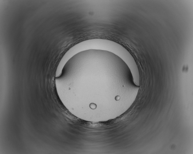 X0000099380336200806051127
