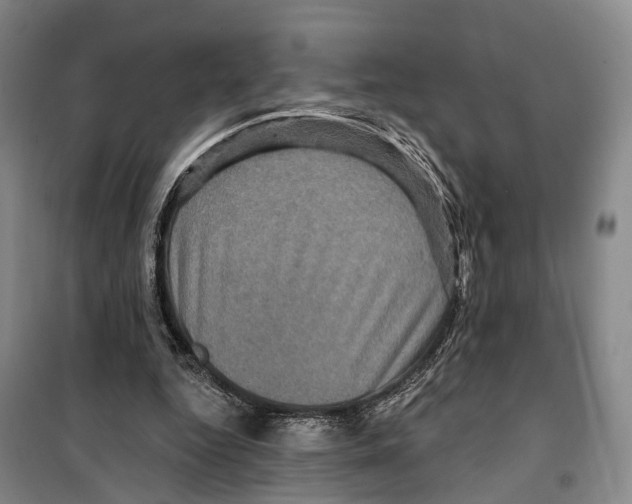 X0000099380344200806051126