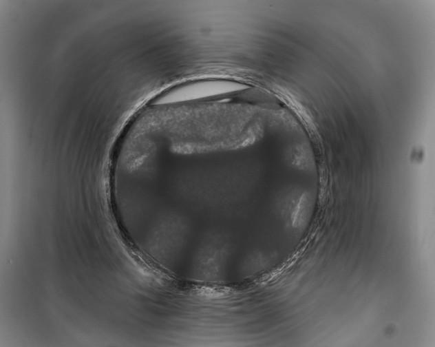 X0000099380346200806051126