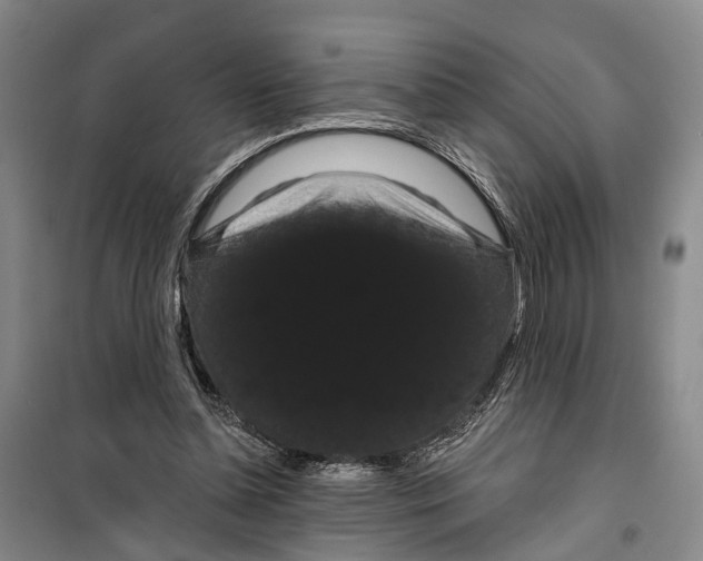 X0000099380348200806051126
