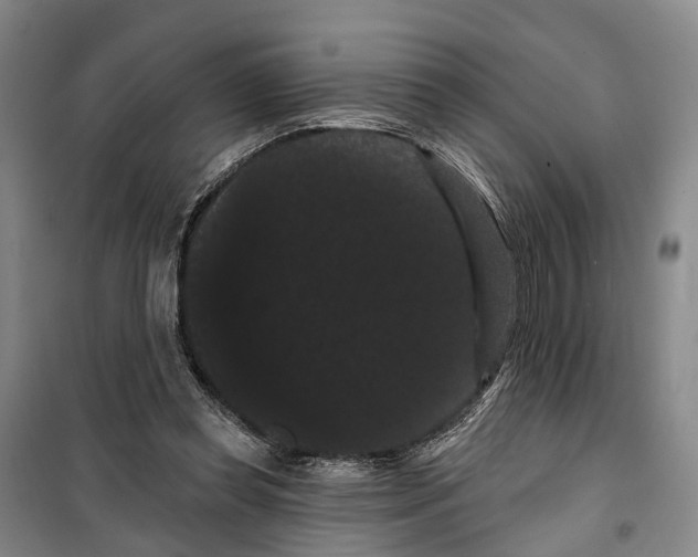X0000099380349200806051126