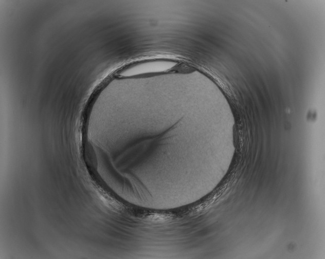 X0000099380350200806051126