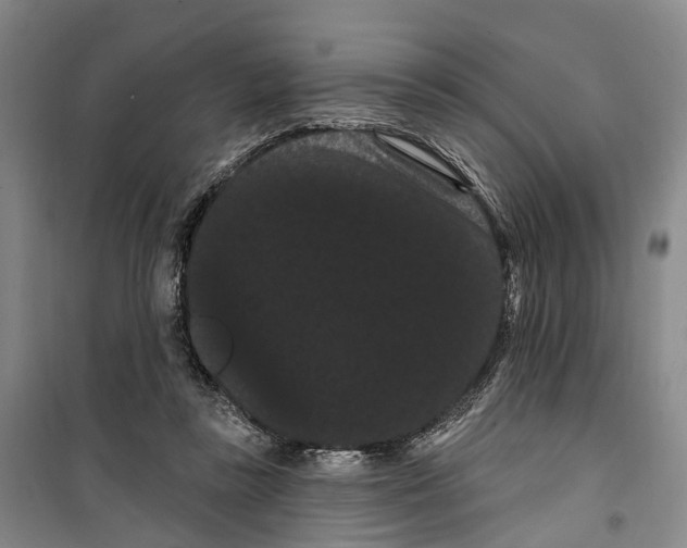 X0000099380355200806051126
