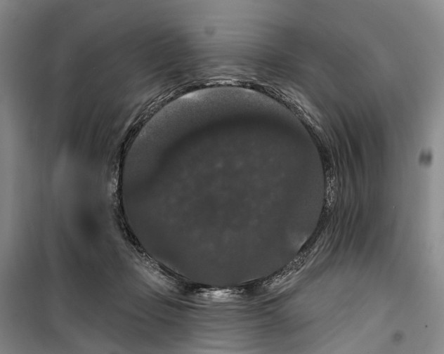 X0000099380365200806051126