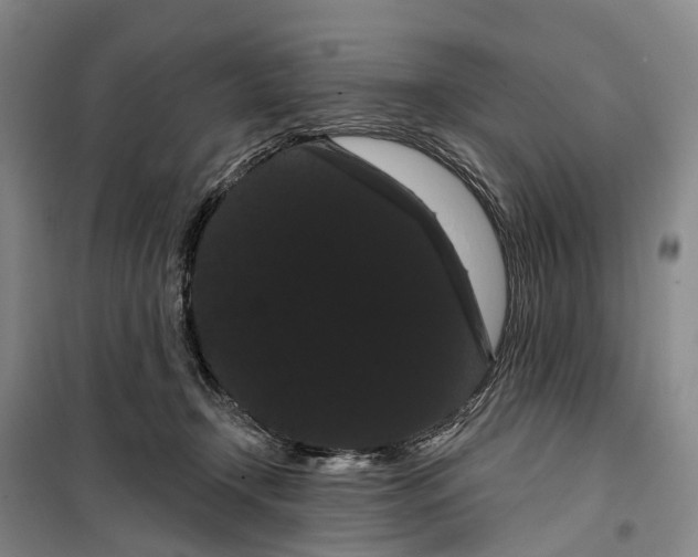 X0000099380366200806051126