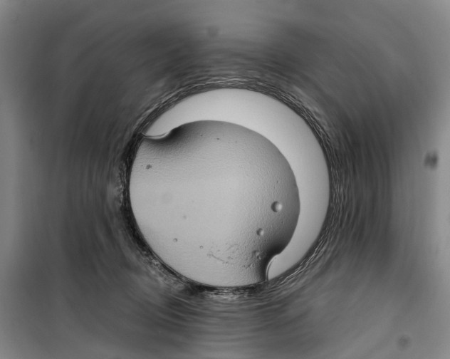 X0000099380370200806051126