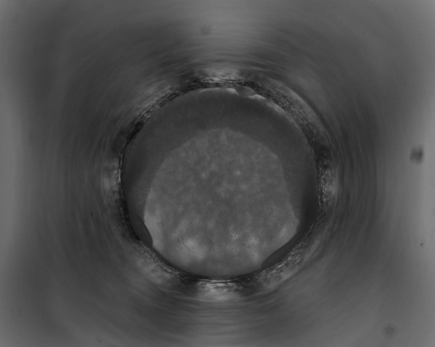 X0000099380372200806051126
