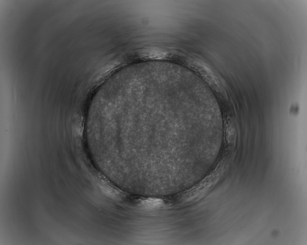 X0000099380374200806051127