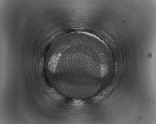 X0000099380376200806051127