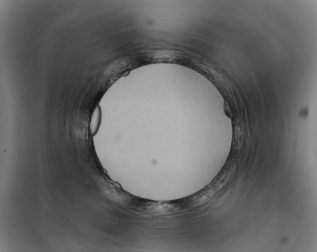 X0000099380379200806051127