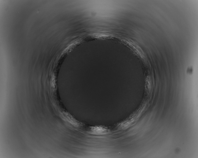 X0000099380380200806051127