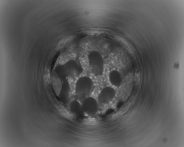 X0000099380381200806051127