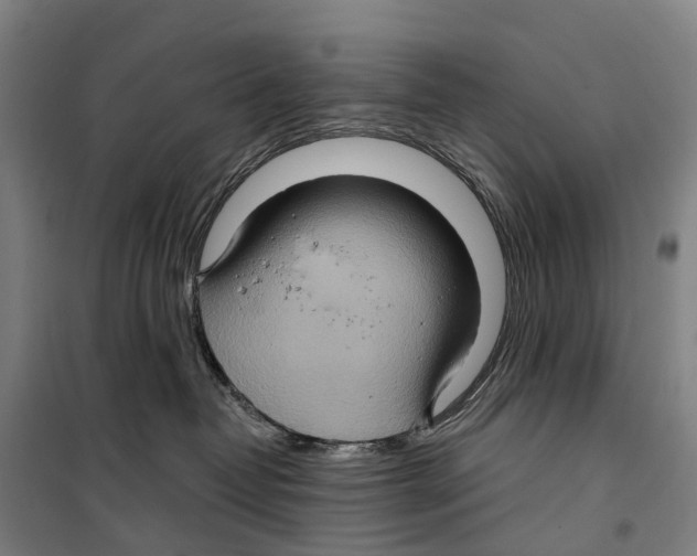 X0000099380382200806051127
