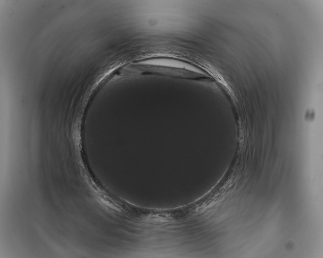 X0000099380386200806051126