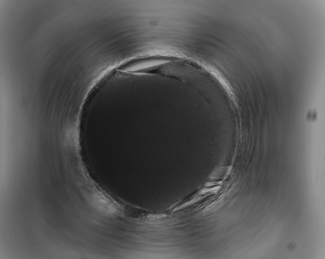 X0000099380391200806051126