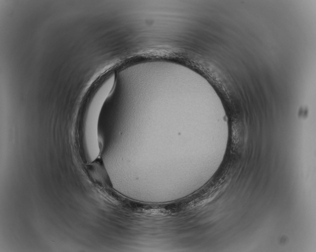 X0000099380396200806051126