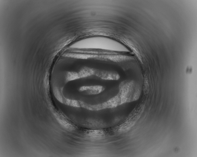 X0000099380398200806051126
