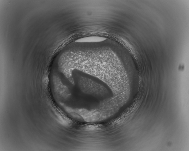 X0000099380405200806051126
