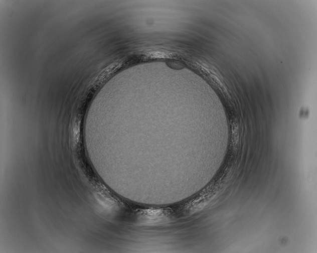 X0000099380406200806051126