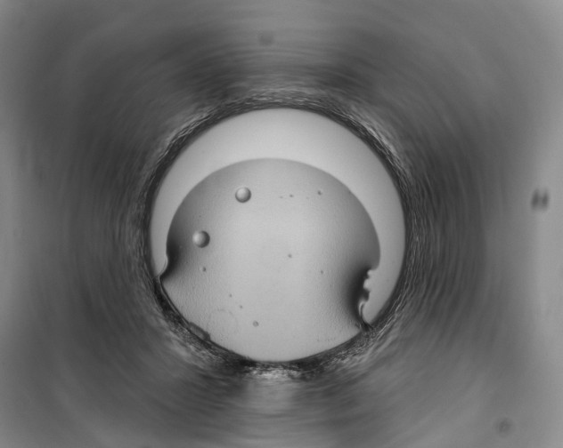 X0000099380407200806051126