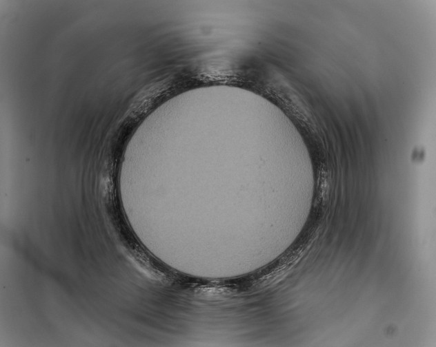 X0000099380408200806051126