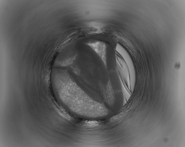 X0000099380409200806051126
