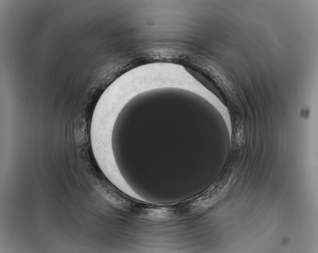 X0000099380411200806051126