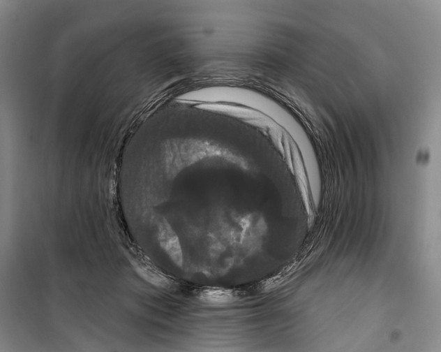 X0000099380413200806051126