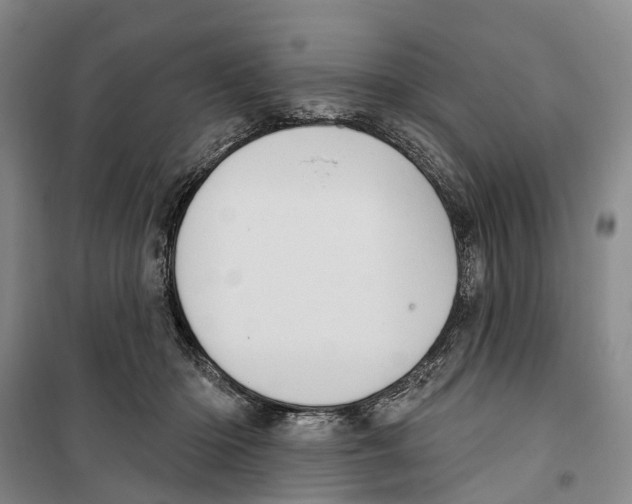 X0000099380414200806051126
