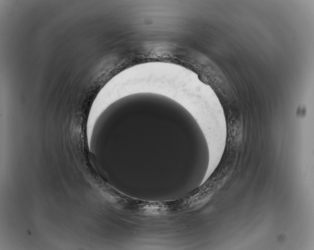 X0000099380415200806051126