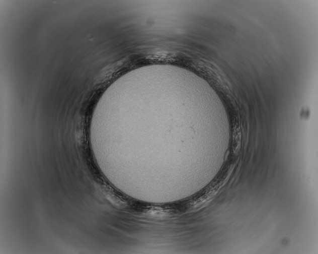 X0000099380416200806051126
