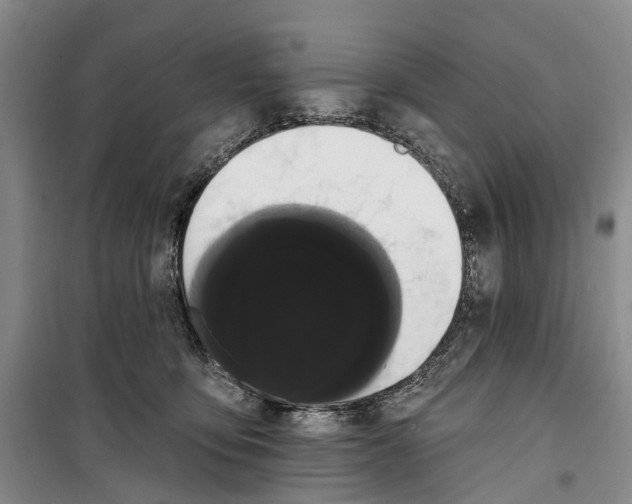 X0000099380419200806051125