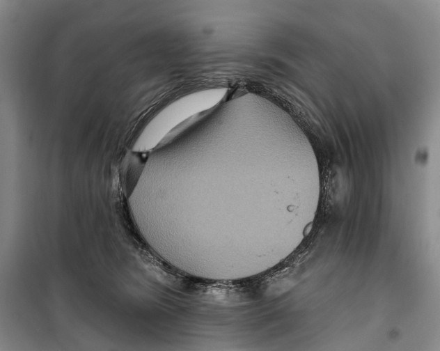 X0000099380420200806051125