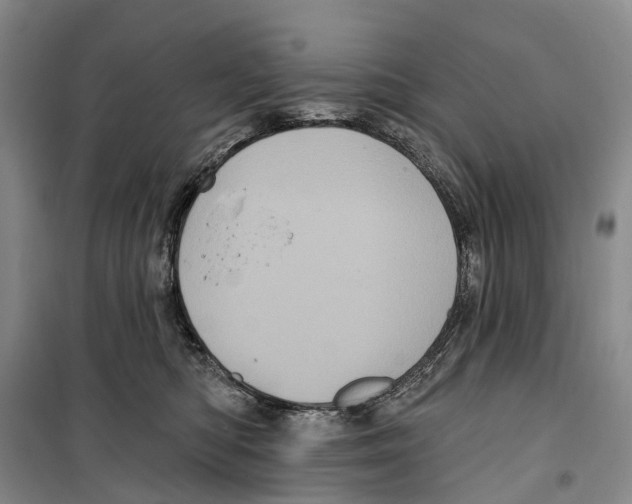 X0000099380422200806051125