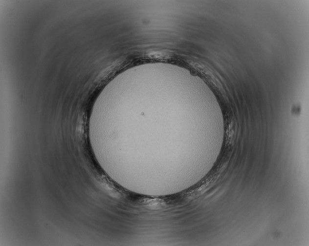 X0000099380424200806051125