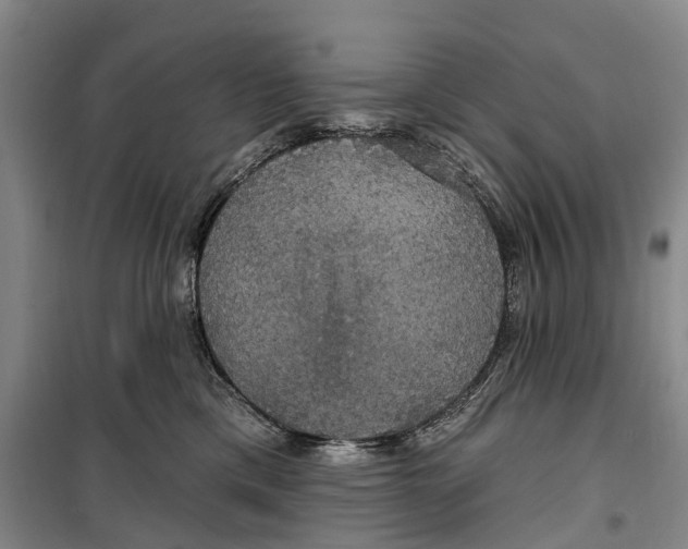 X0000099380425200806051125