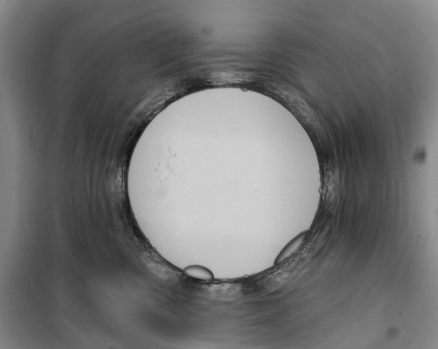 X0000099380426200806051125