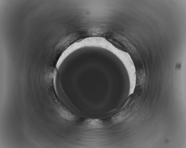 X0000099380427200806051125