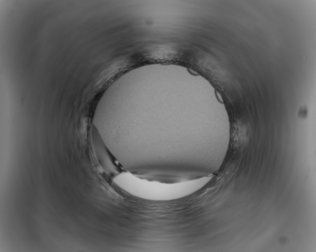 X0000099380428200806051125