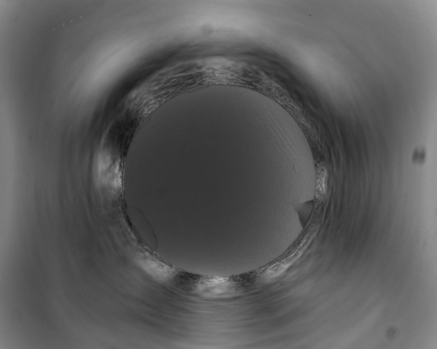 X0000099380431200806051125