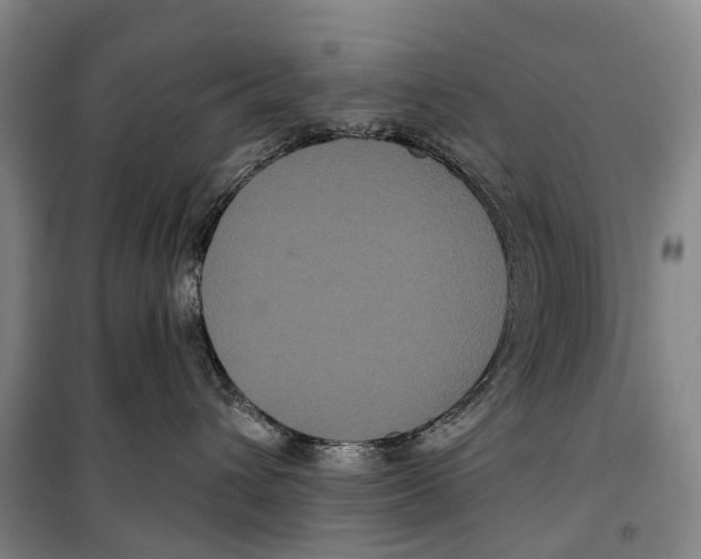 X0000099380432200806051125