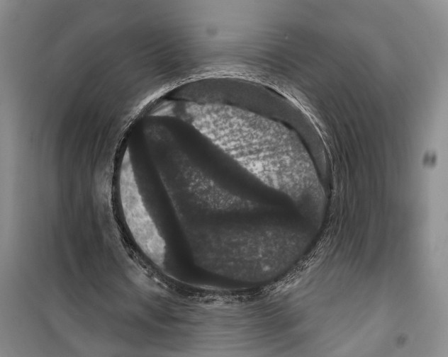 X0000099380434200806051124