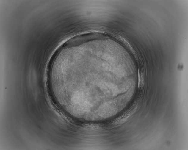 X0000099380435200806051124